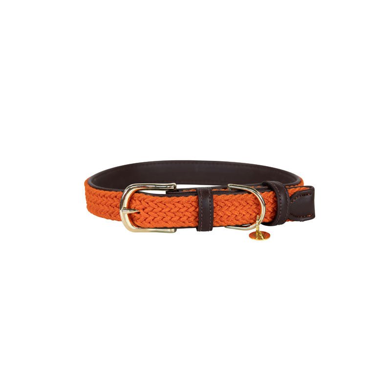 Kentucky Plaited Nylon Dog Collar - Nags Essentials