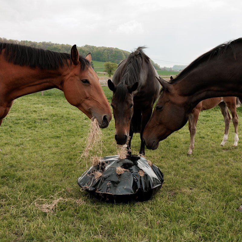 Kentucky Play & Haybag Slowfeeder Round - Nags Essentials