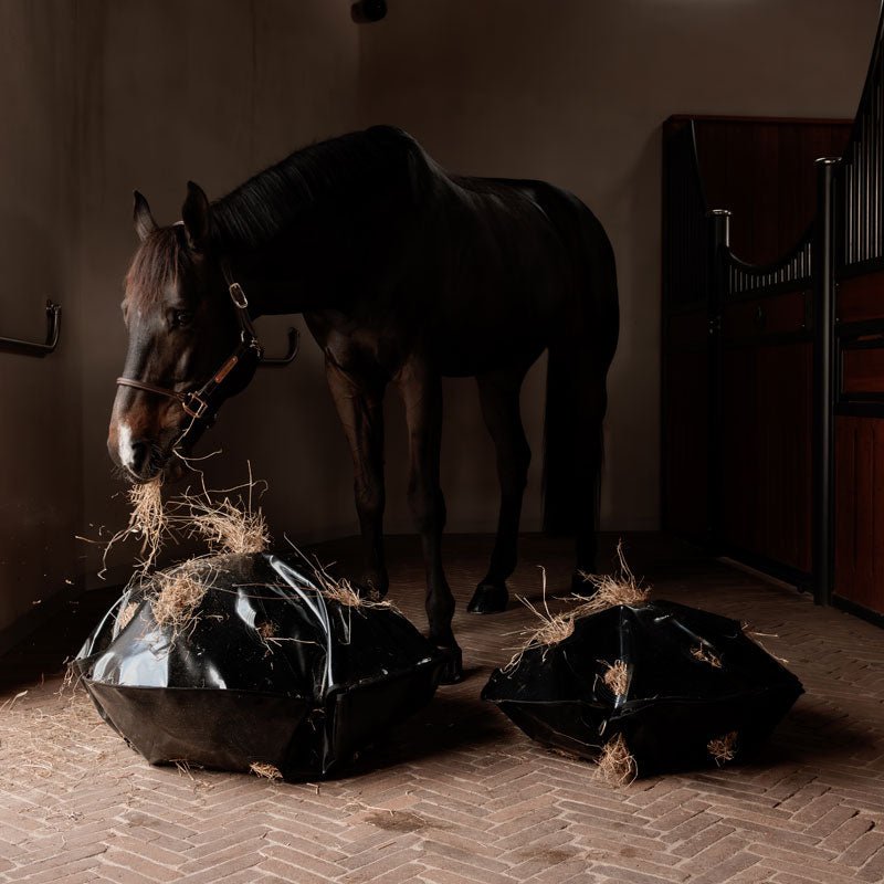Kentucky Play & Haybag Slowfeeder Round - Nags Essentials