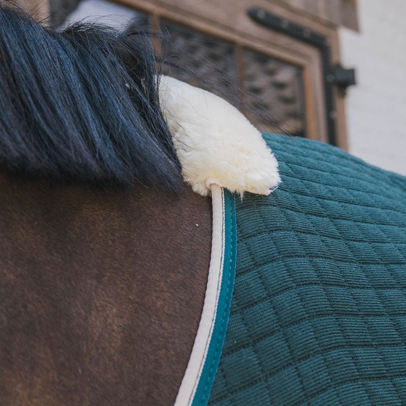 Kentucky ProThermCooler Rug - Nags Essentials