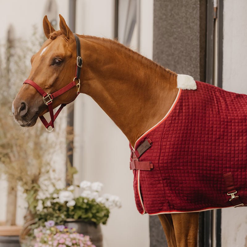 Kentucky ProThermCooler Rug - Nags Essentials