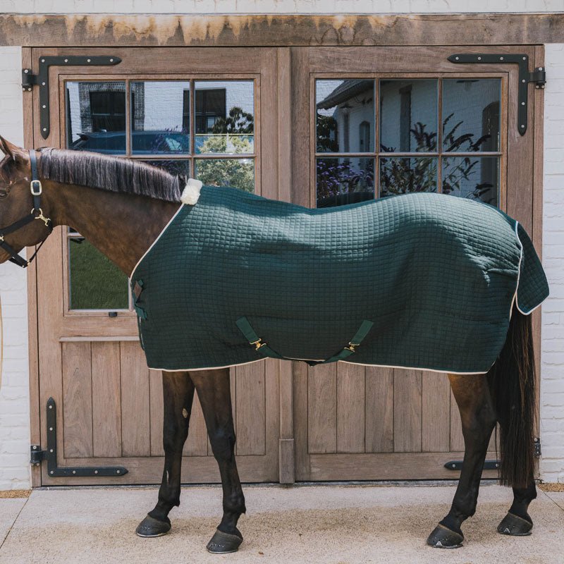 Kentucky ProThermCooler Rug - Nags Essentials