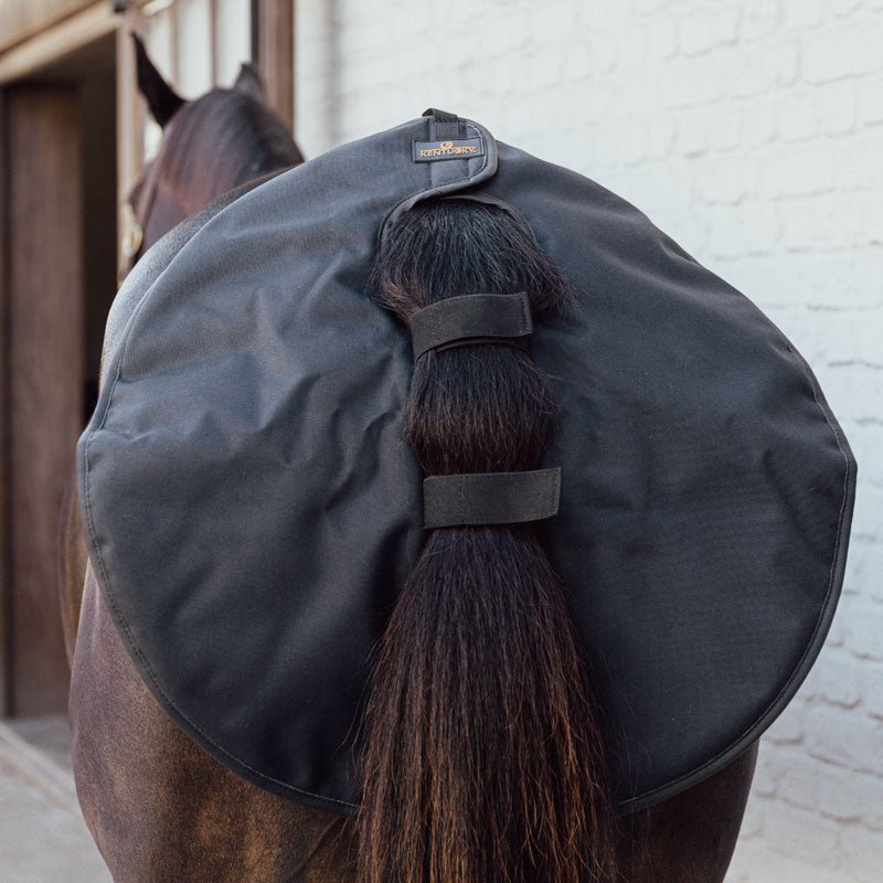 Kentucky Quarter Guard - Nags Essentials