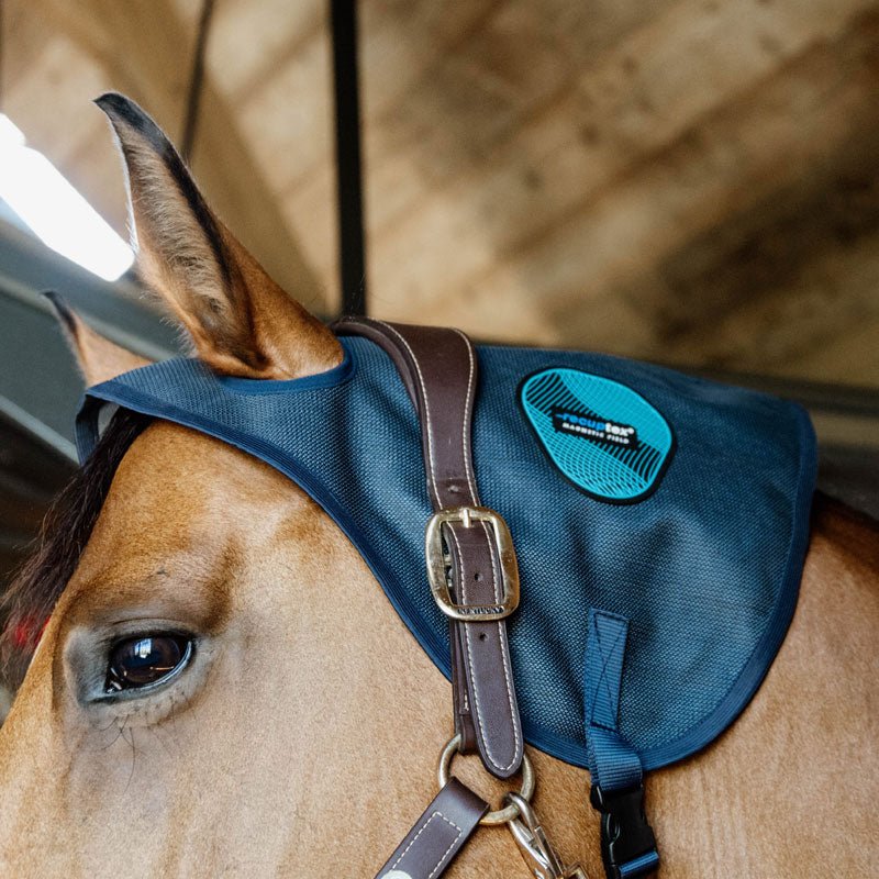 Kentucky Recuptex Magnetic Neck Protector - Nags Essentials