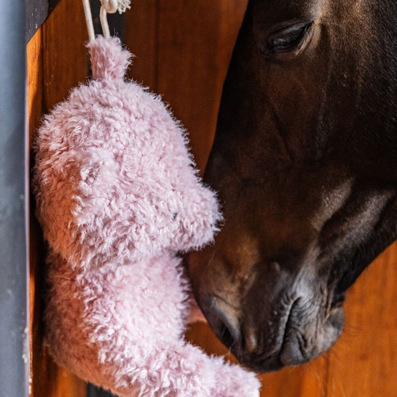 Kentucky Relax Horse Toy Bear - Nags Essentials
