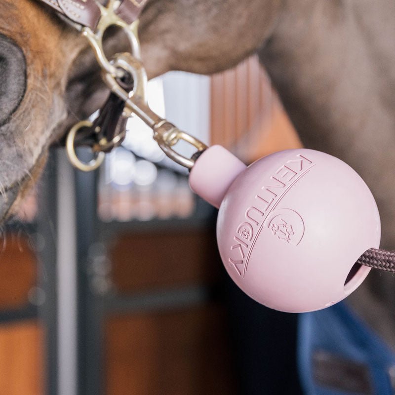 Kentucky Rubber Ball Wall and Lead Protector - Nags Essentials