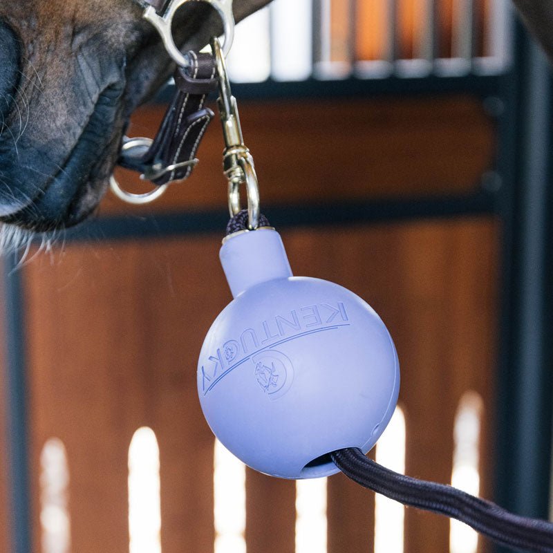 Kentucky Rubber Ball Wall and Lead Protector - Nags Essentials