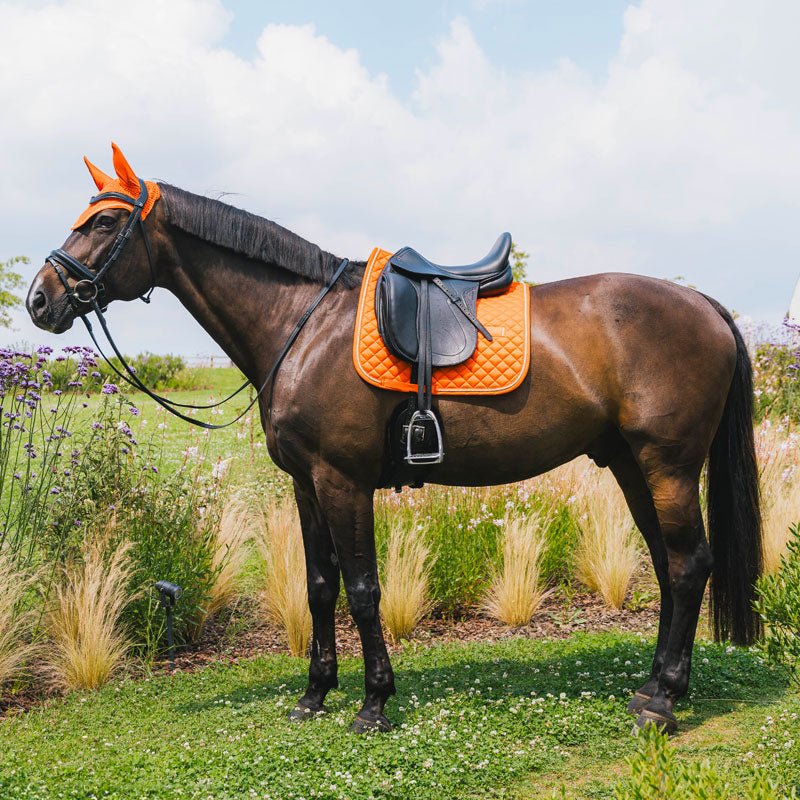Kentucky Saddle Pad Diamond Rope Dressage - Nags Essentials