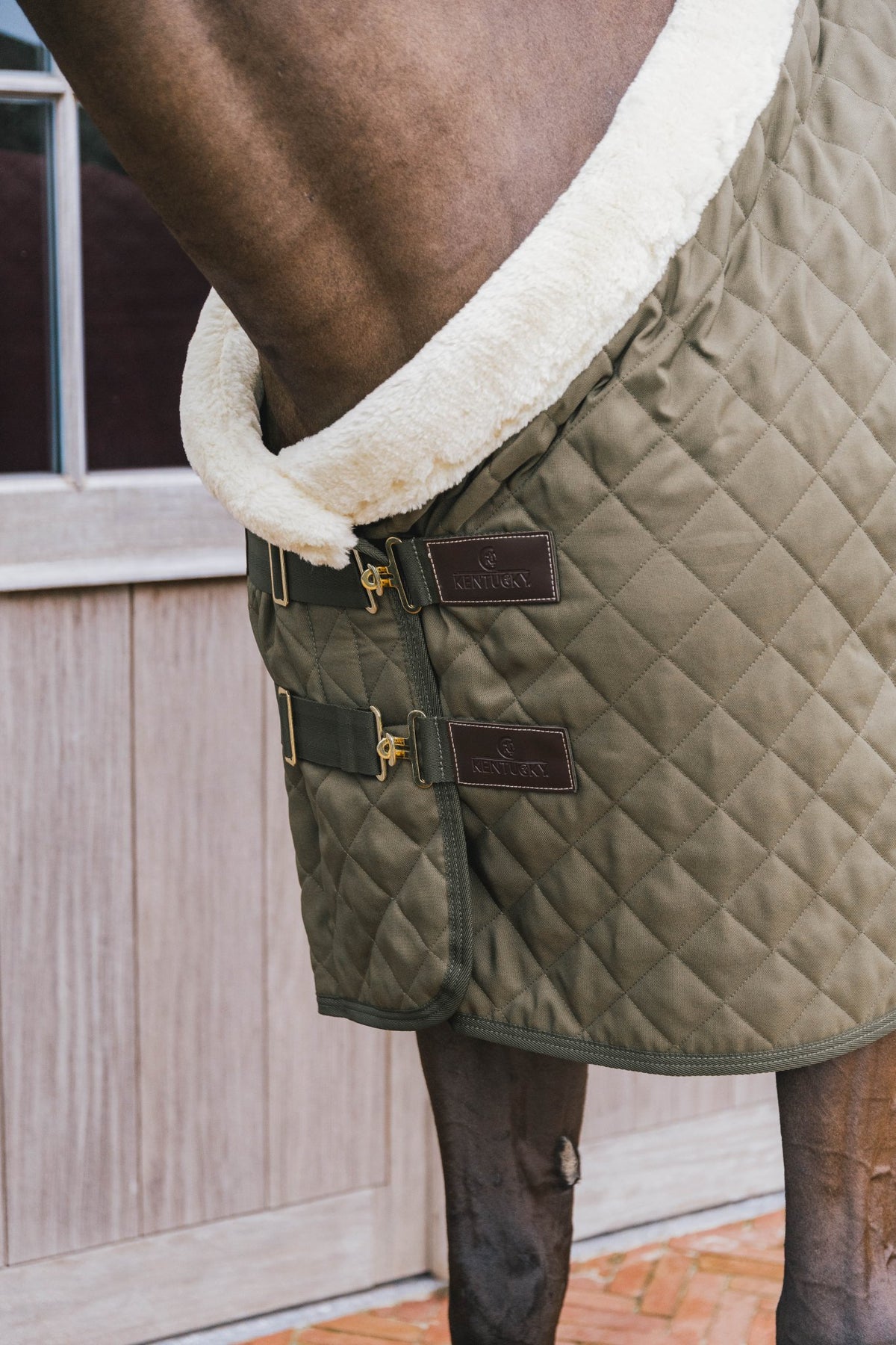 Kentucky Show Rug - Nags Essentials