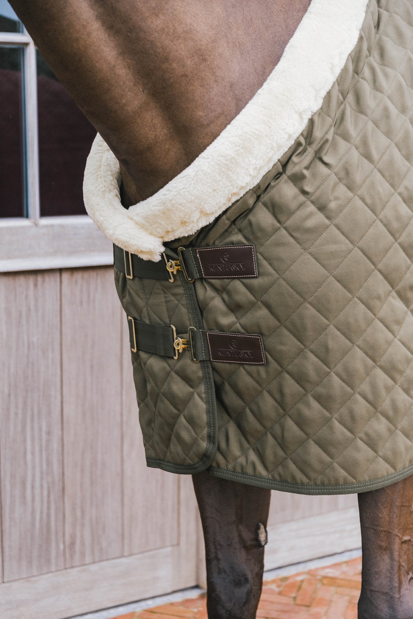 Kentucky Show Rug - Nags Essentials