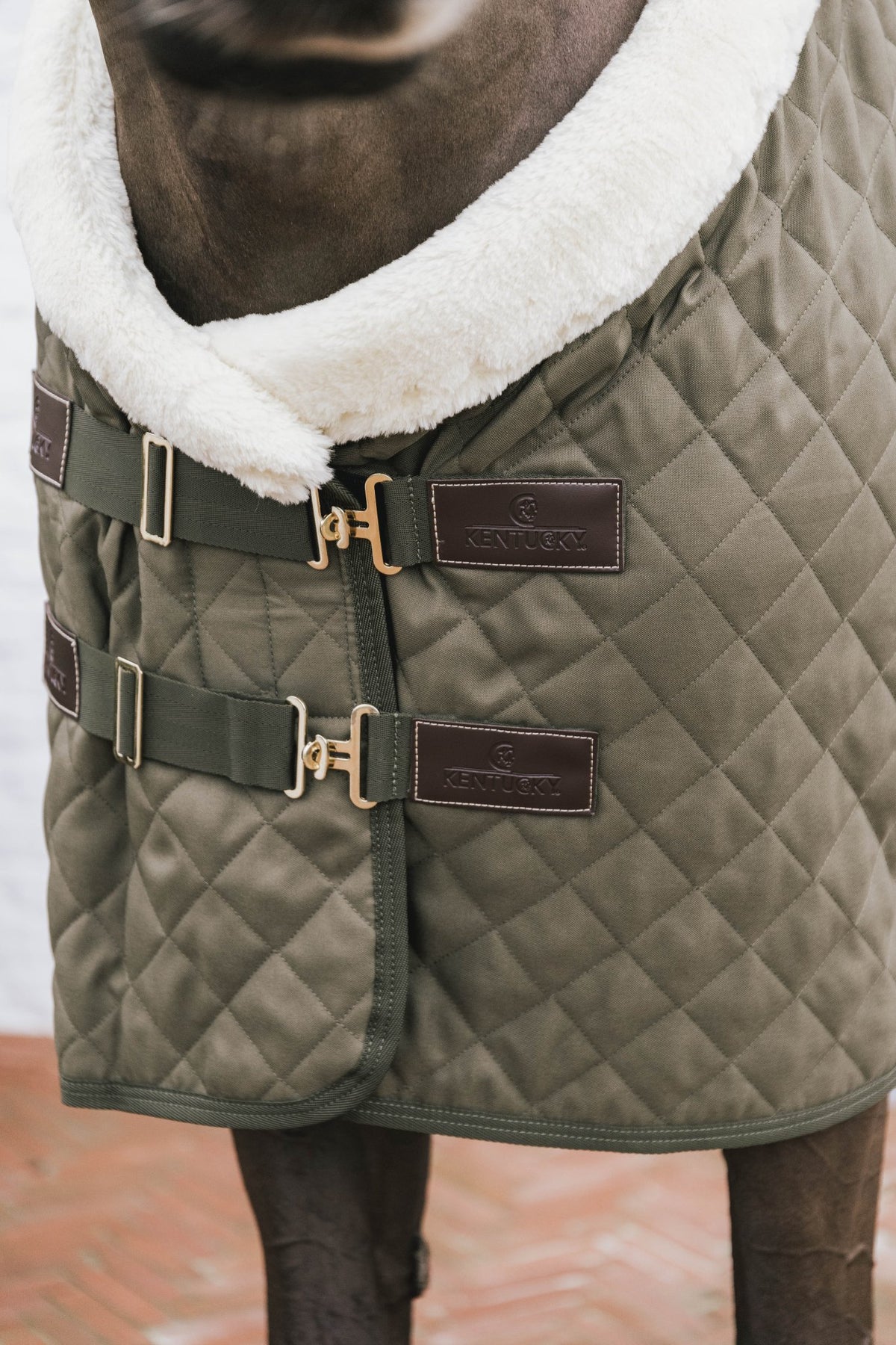 Kentucky Show Rug - Nags Essentials