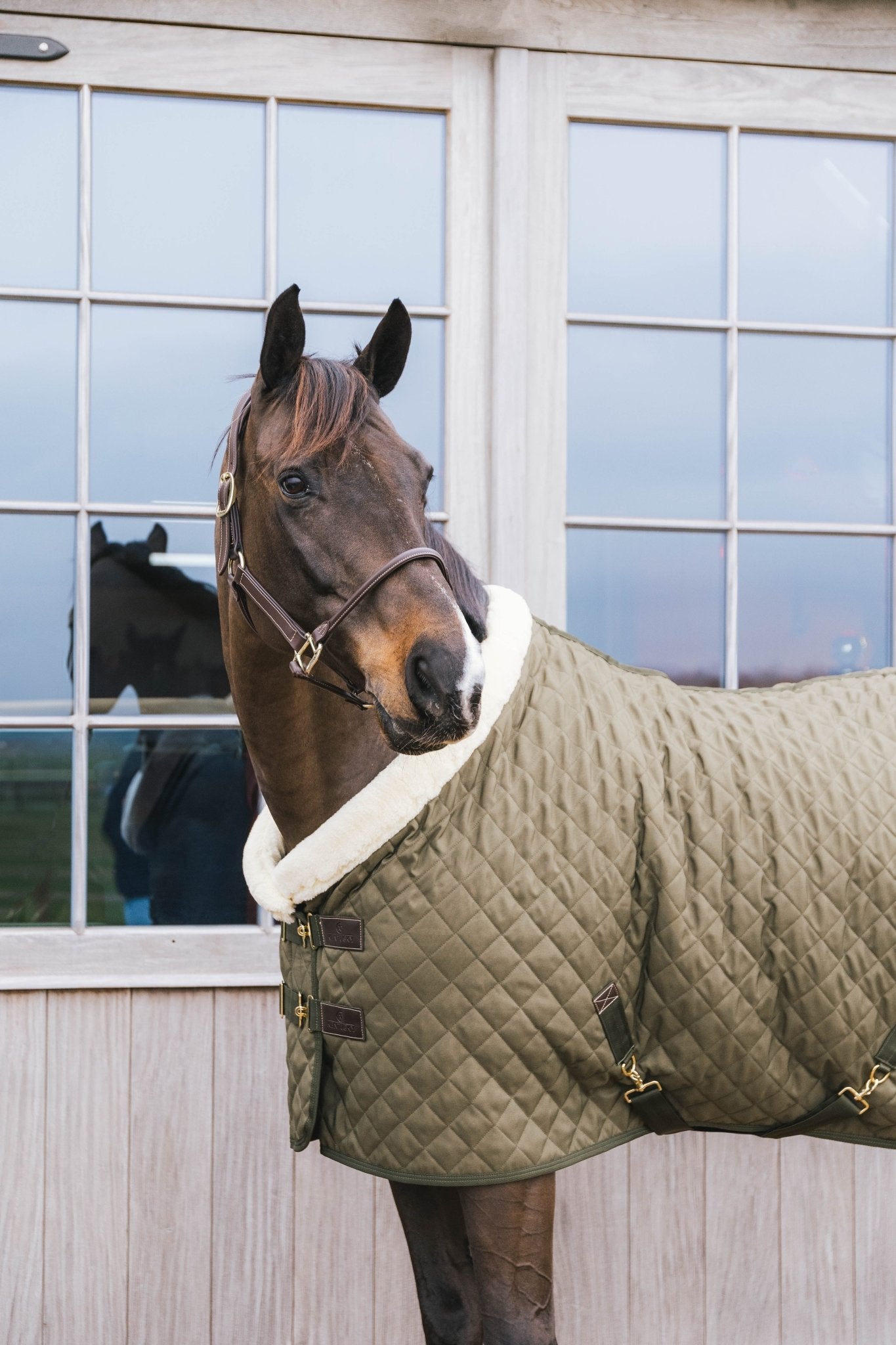Kentucky Show Rug - Nags Essentials
