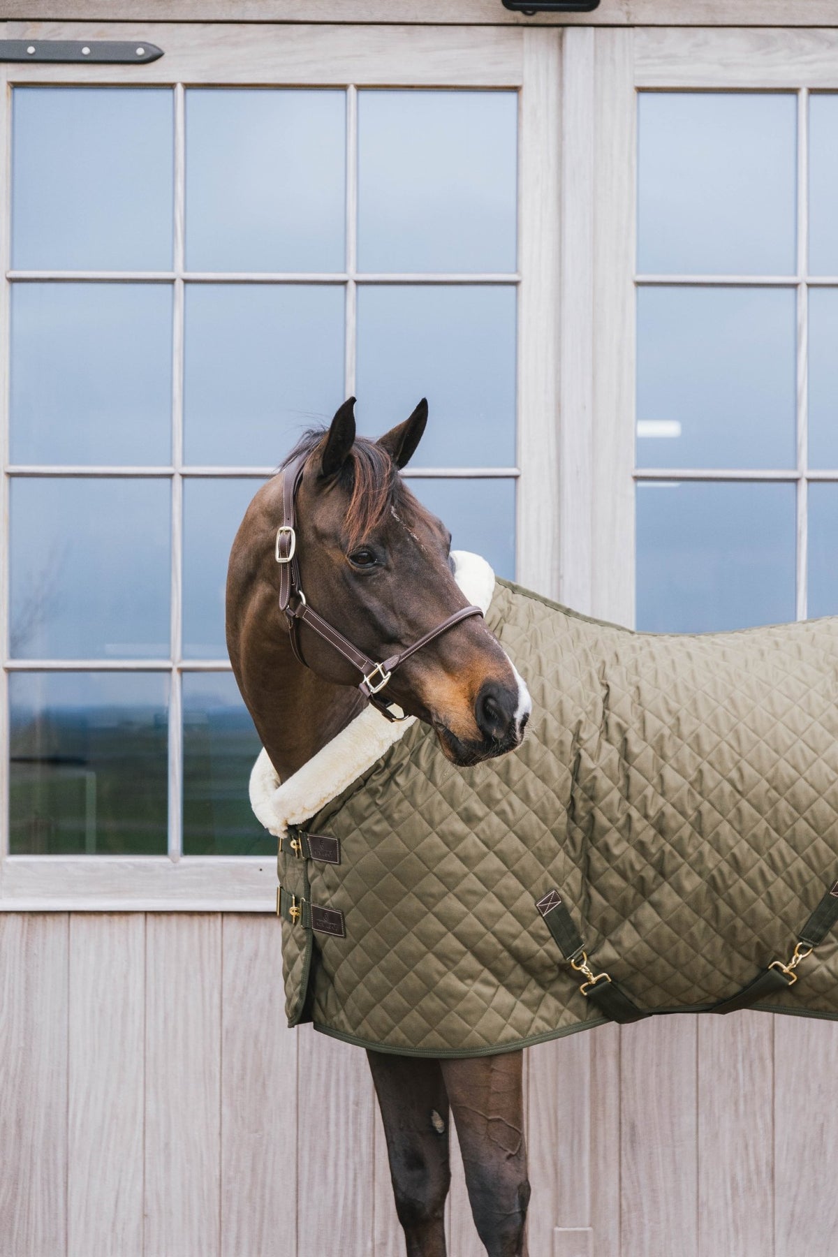Kentucky Show Rug - Nags Essentials