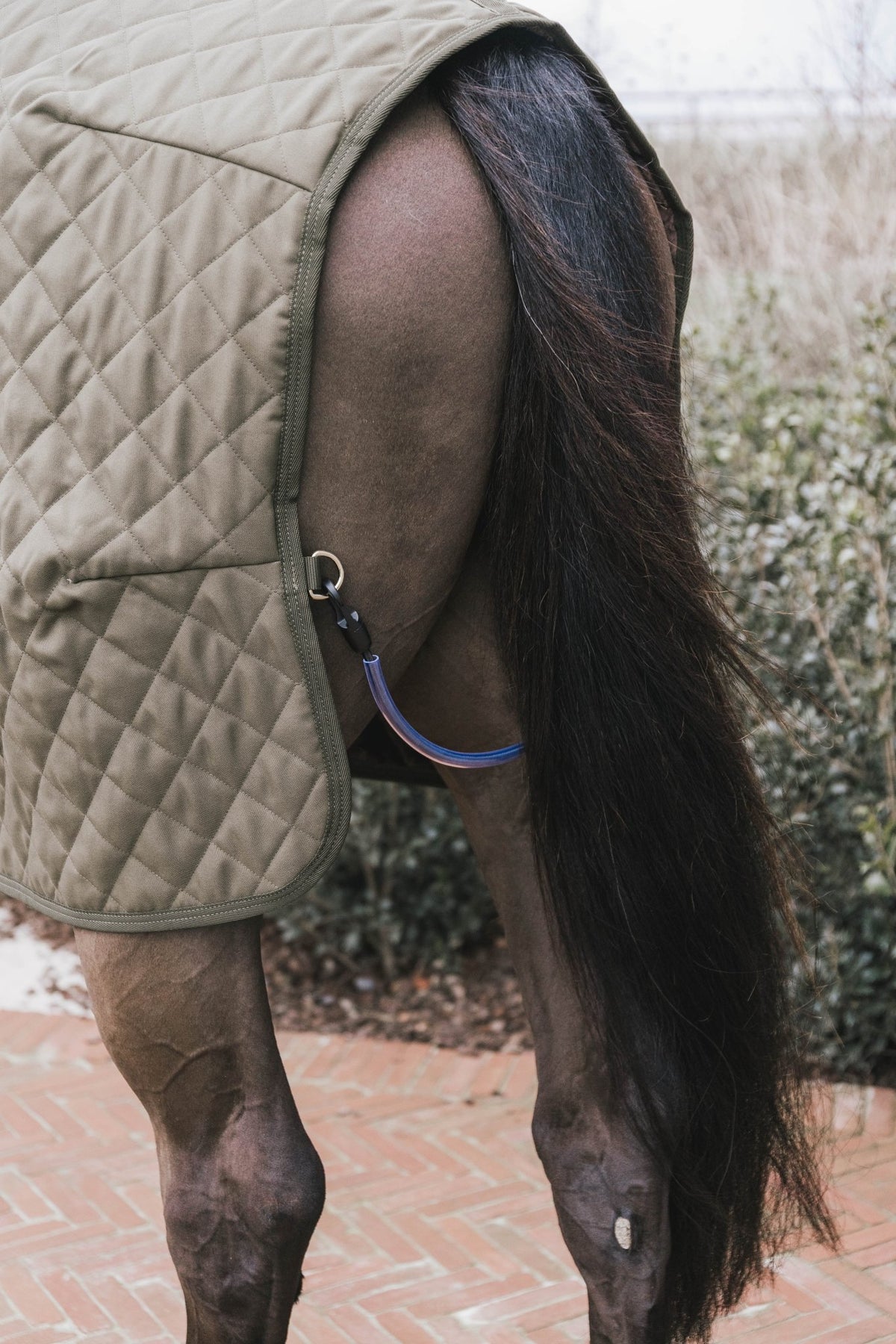 Kentucky Show Rug - Nags Essentials