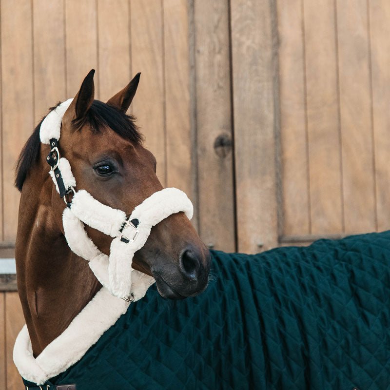 Kentucky Show Rug - Nags Essentials