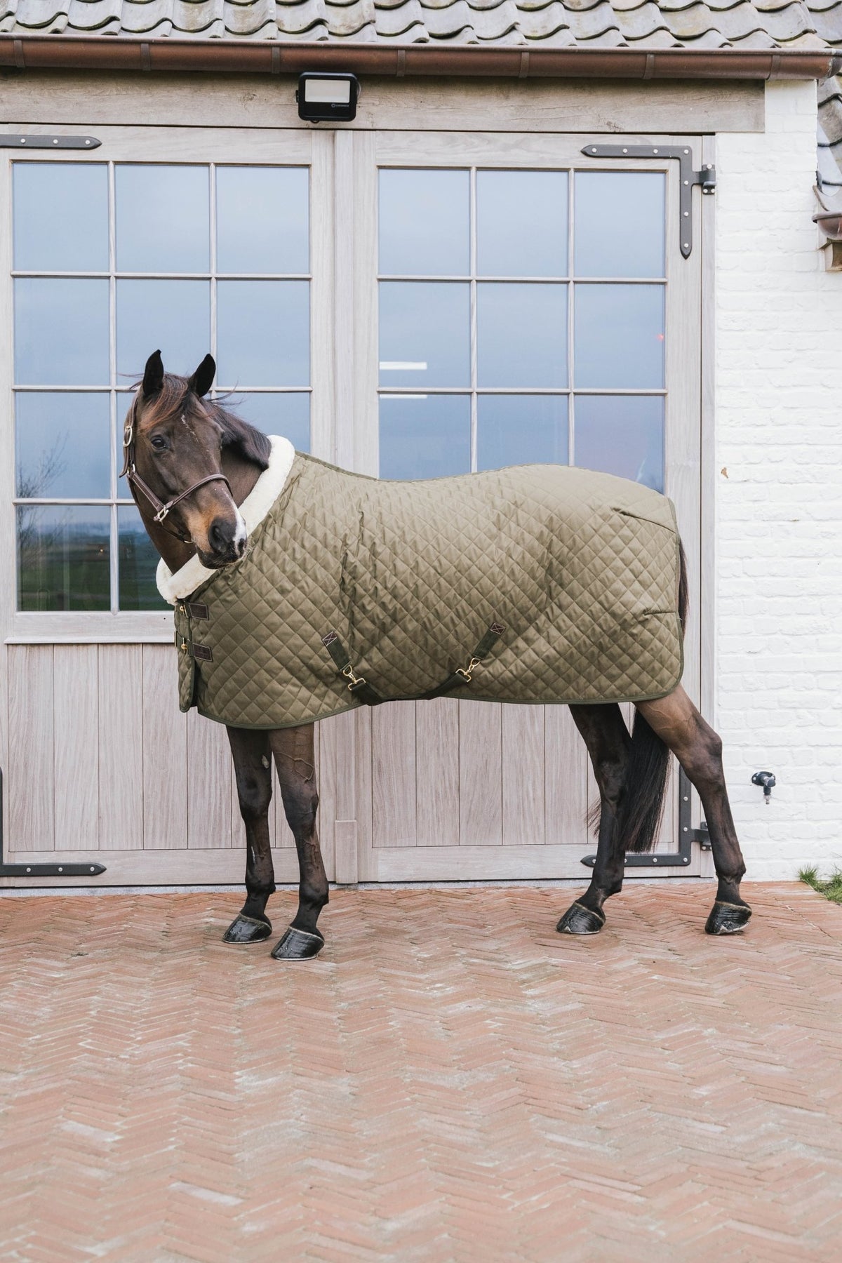 Kentucky Show Rug - Nags Essentials