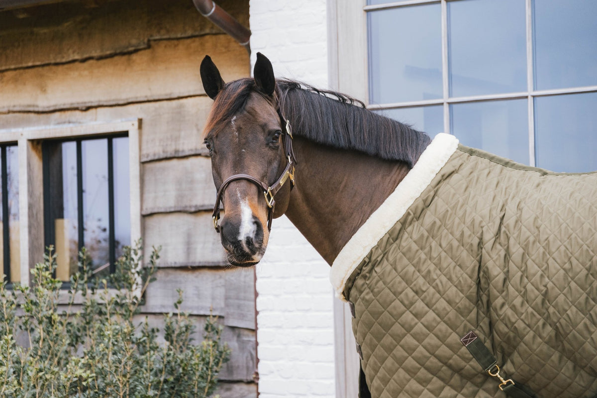 Kentucky Show Rug - Nags Essentials