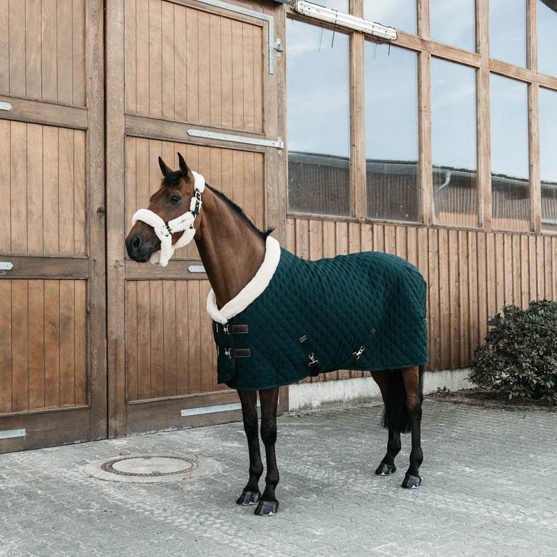 Kentucky Show Rug - Nags Essentials