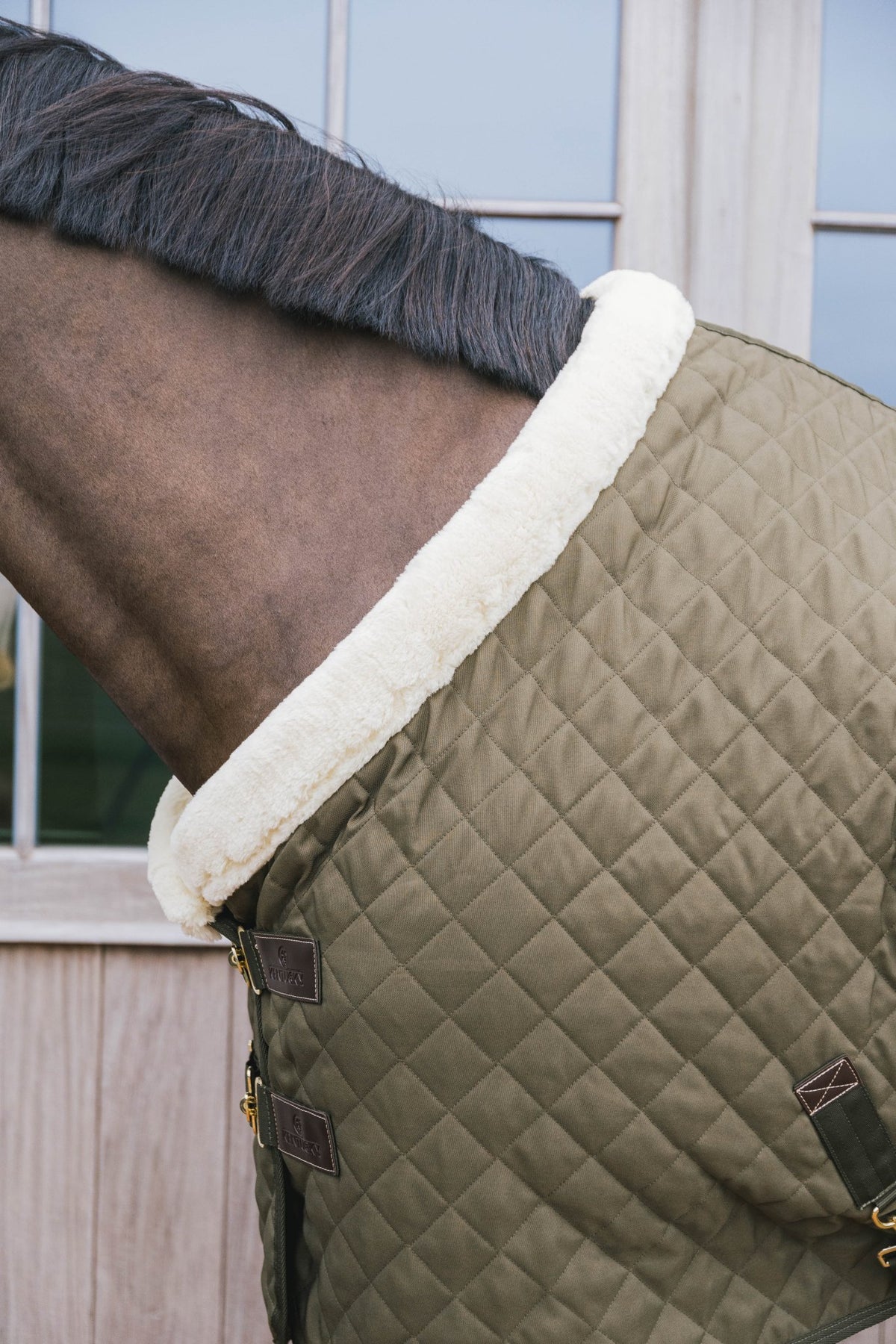 Kentucky Show Rug - Nags Essentials