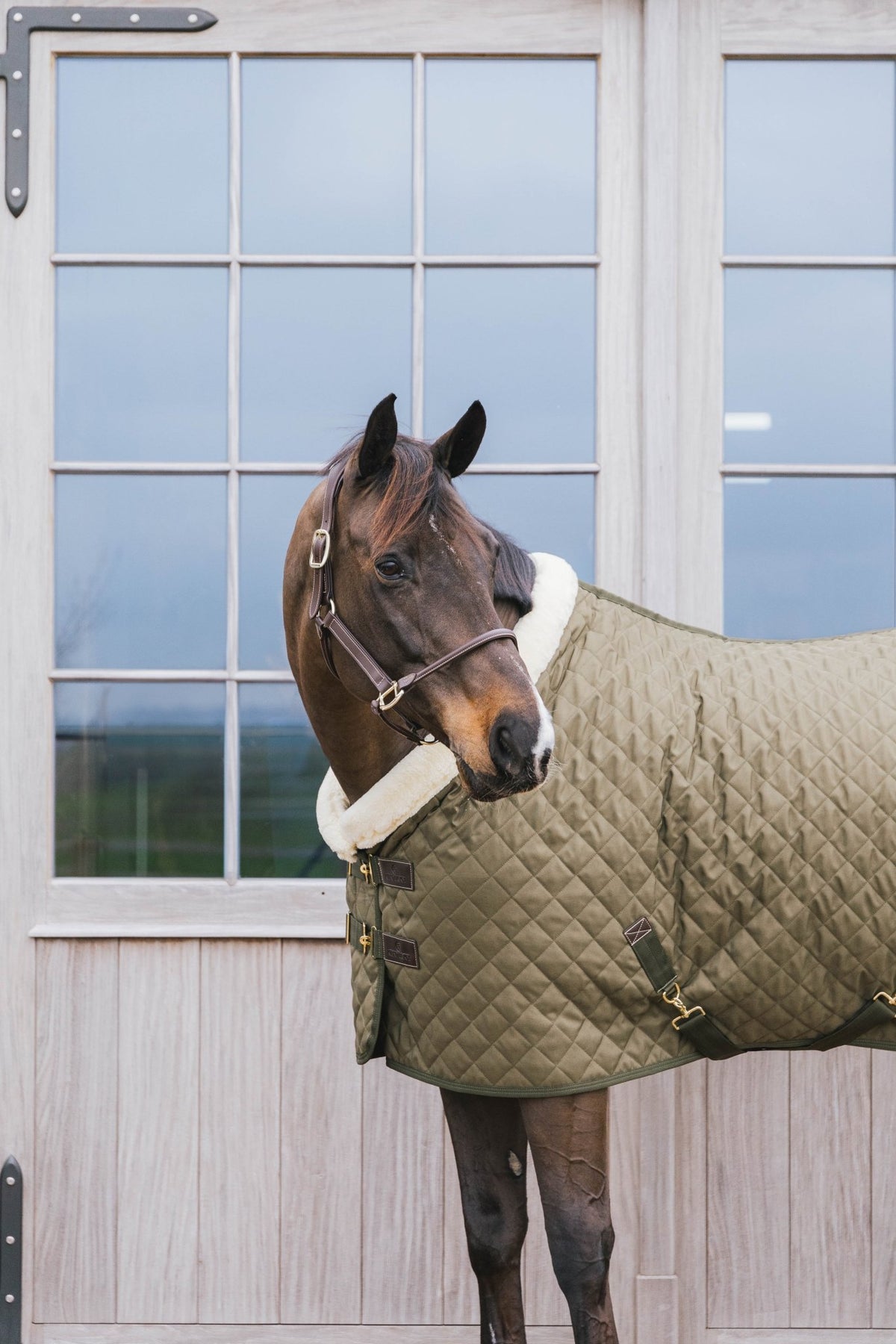 Kentucky Show Rug - Nags Essentials