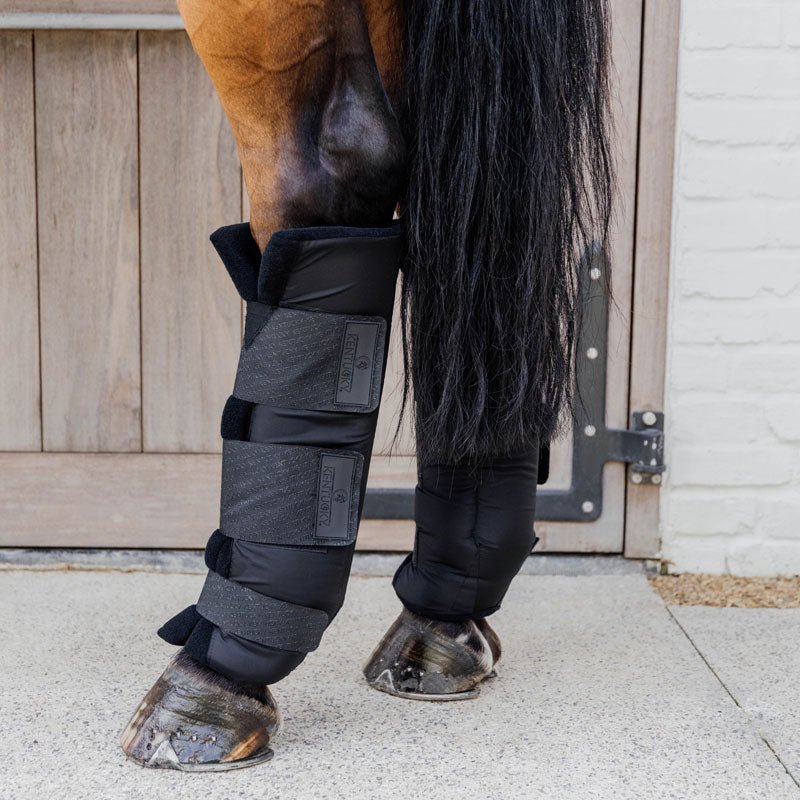 Kentucky Stable Boots PROtect Classic Hind - Nags Essentials