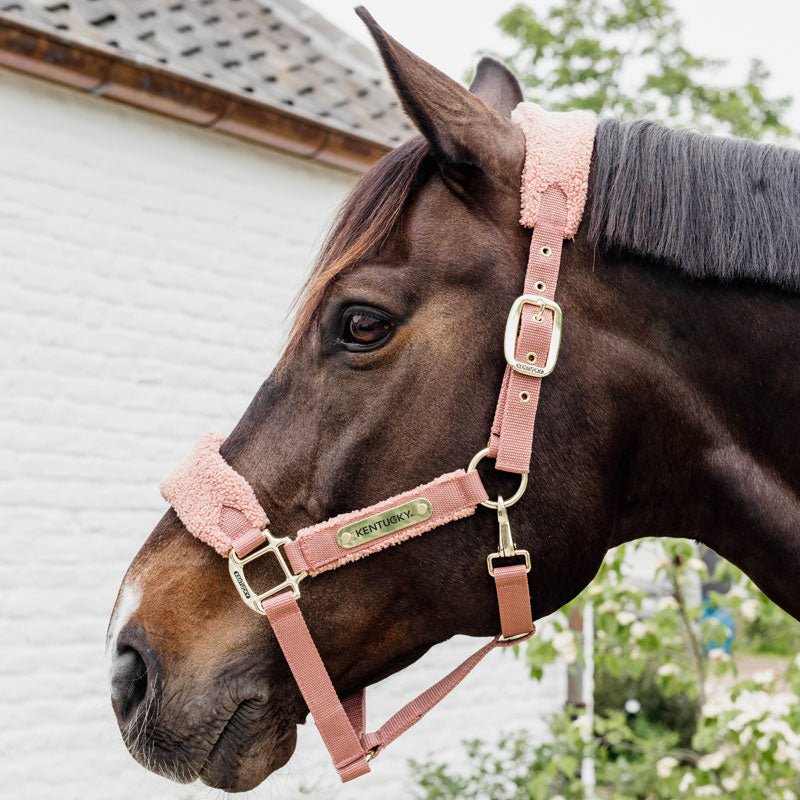 Kentucky Teddy Fleece Head Collar - Nags Essentials