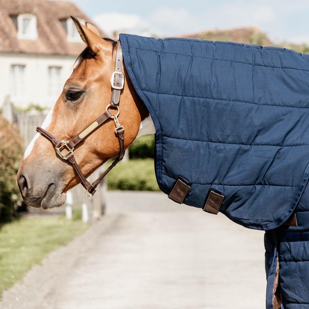 Kentucky Under Rug with Neck Skin Friendly 150g - Nags Essentials