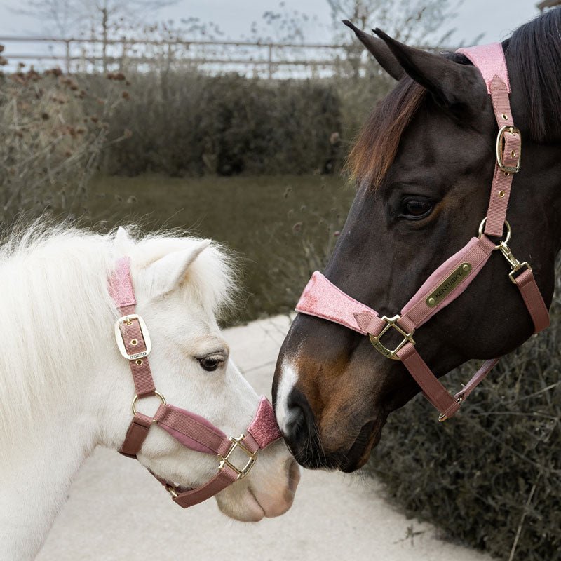 Kentucky Velvet Halter Unicorn Glitter - Nags Essentials