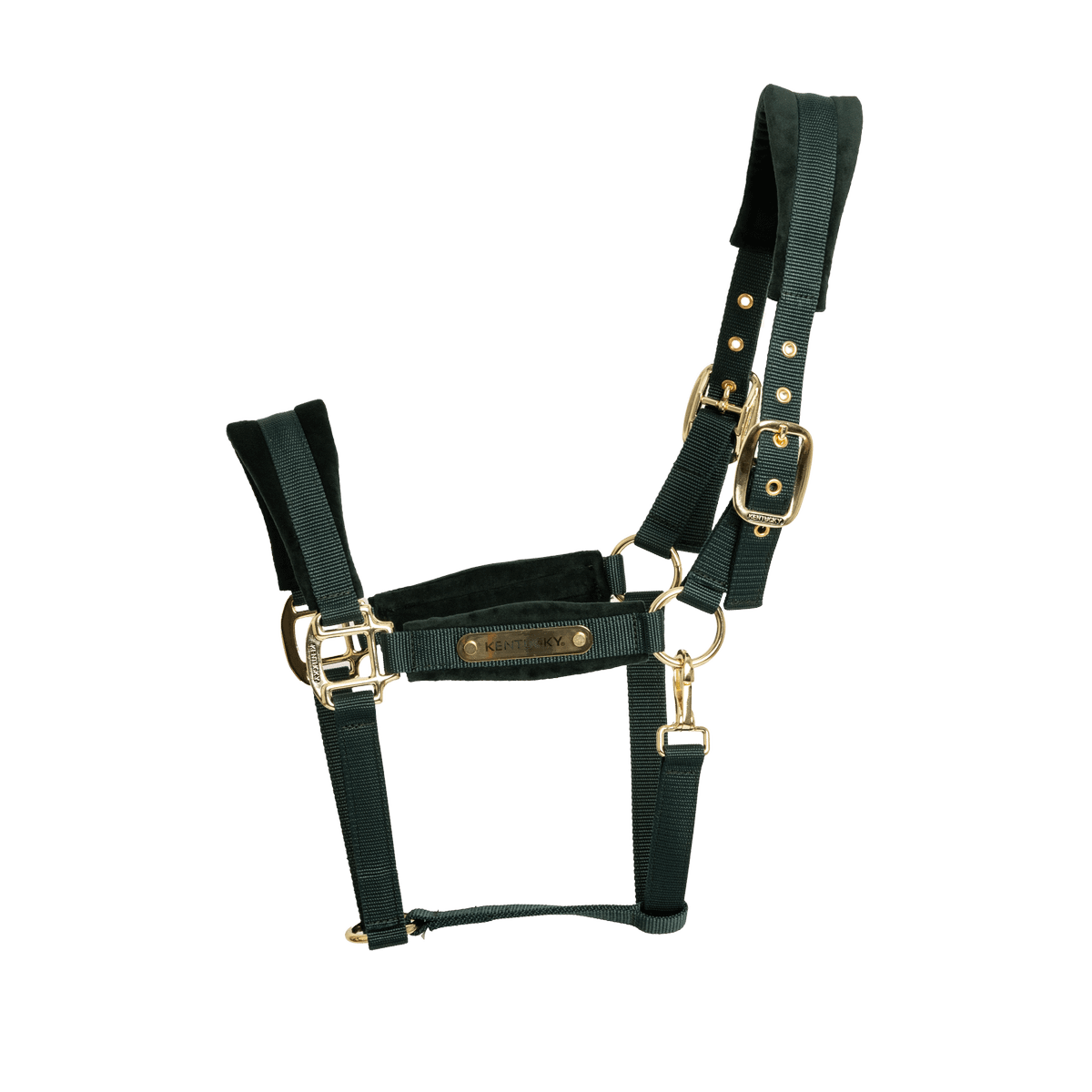 Kentucky Velvet Head Collar - Nags Essentials