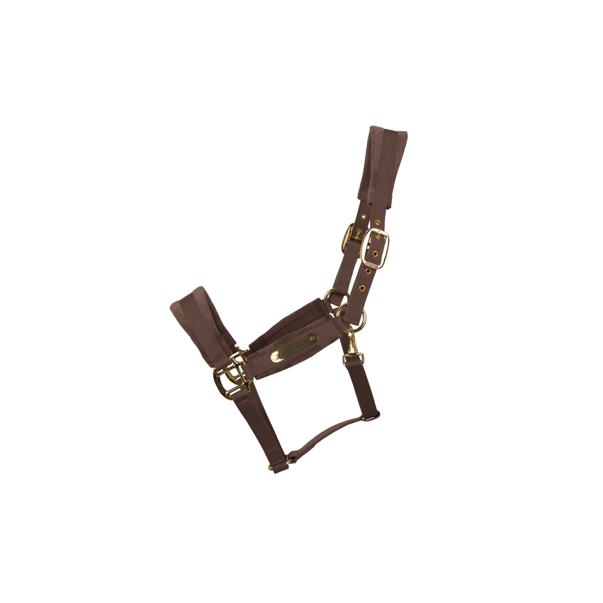 Kentucky Velvet Head Collar - Nags Essentials