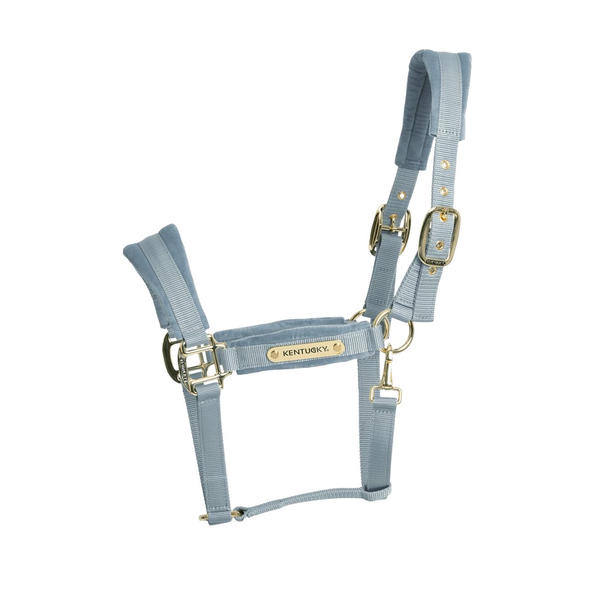 Kentucky Velvet Head Collar - Nags Essentials