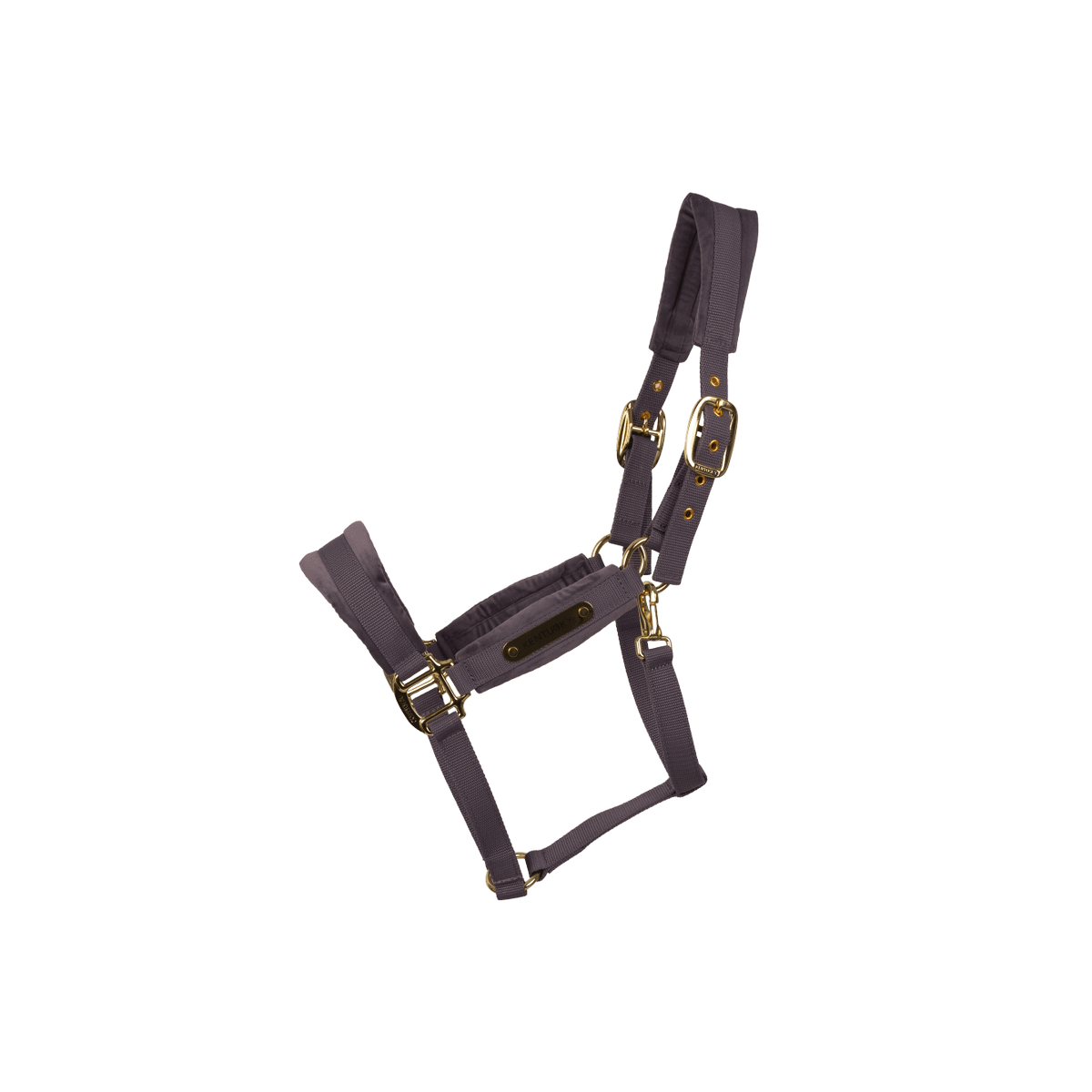 Kentucky Velvet Head Collar - Nags Essentials