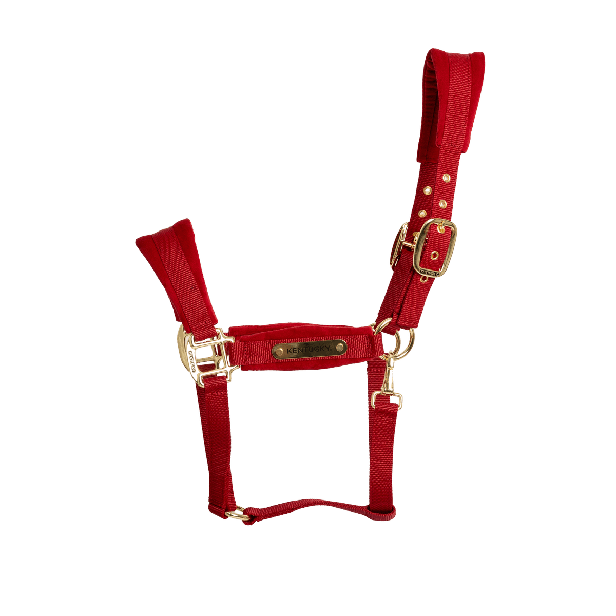 Kentucky Velvet Head Collar - Nags Essentials