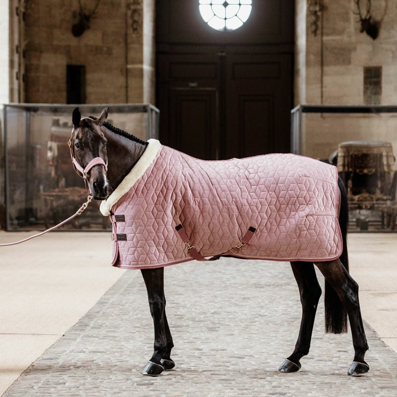 Kentucky Velvet Show Rug - Nags Essentials