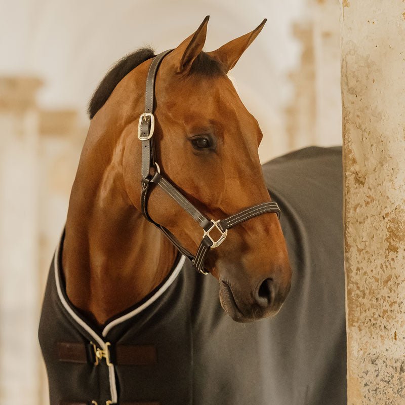 Kentucky Wellington Leather Halter - Nags Essentials