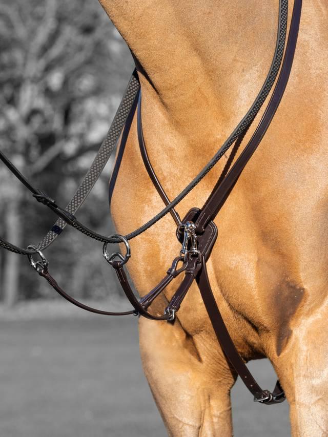 Lemieux Kudos Running Martingale