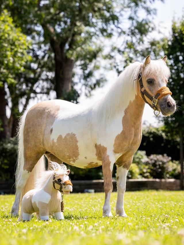 LeMeiux Toy Pony - Nags Essentials