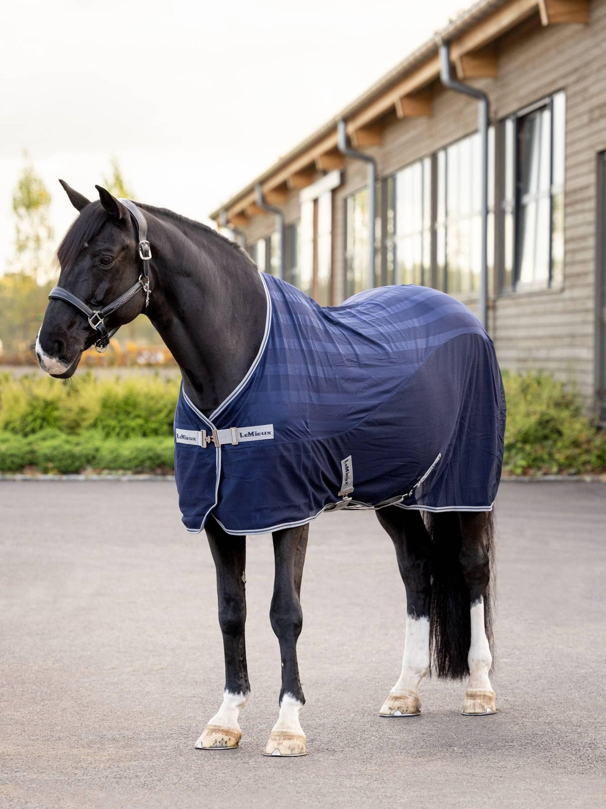 LeMieux Arika Air - Tek Sheet - Navy - Nags Essentials