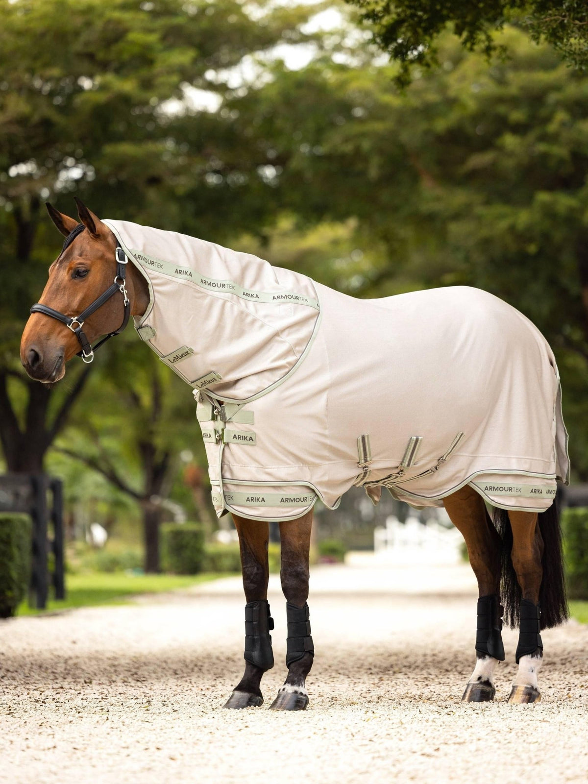 LeMieux Arika Armour - Tek Fly Rug - Nags Essentials