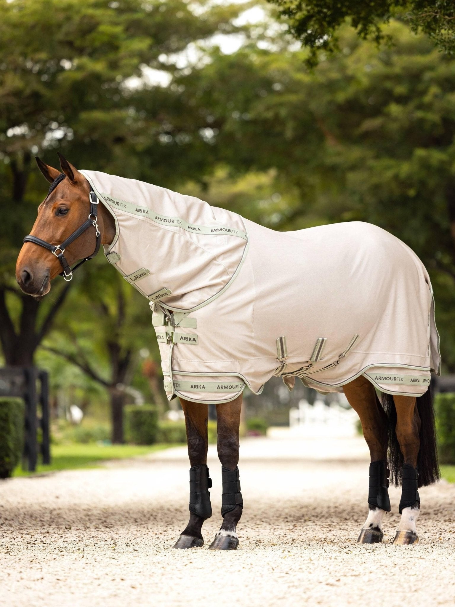 LeMieux Arika Armour - Tek Fly Rug - Nags Essentials