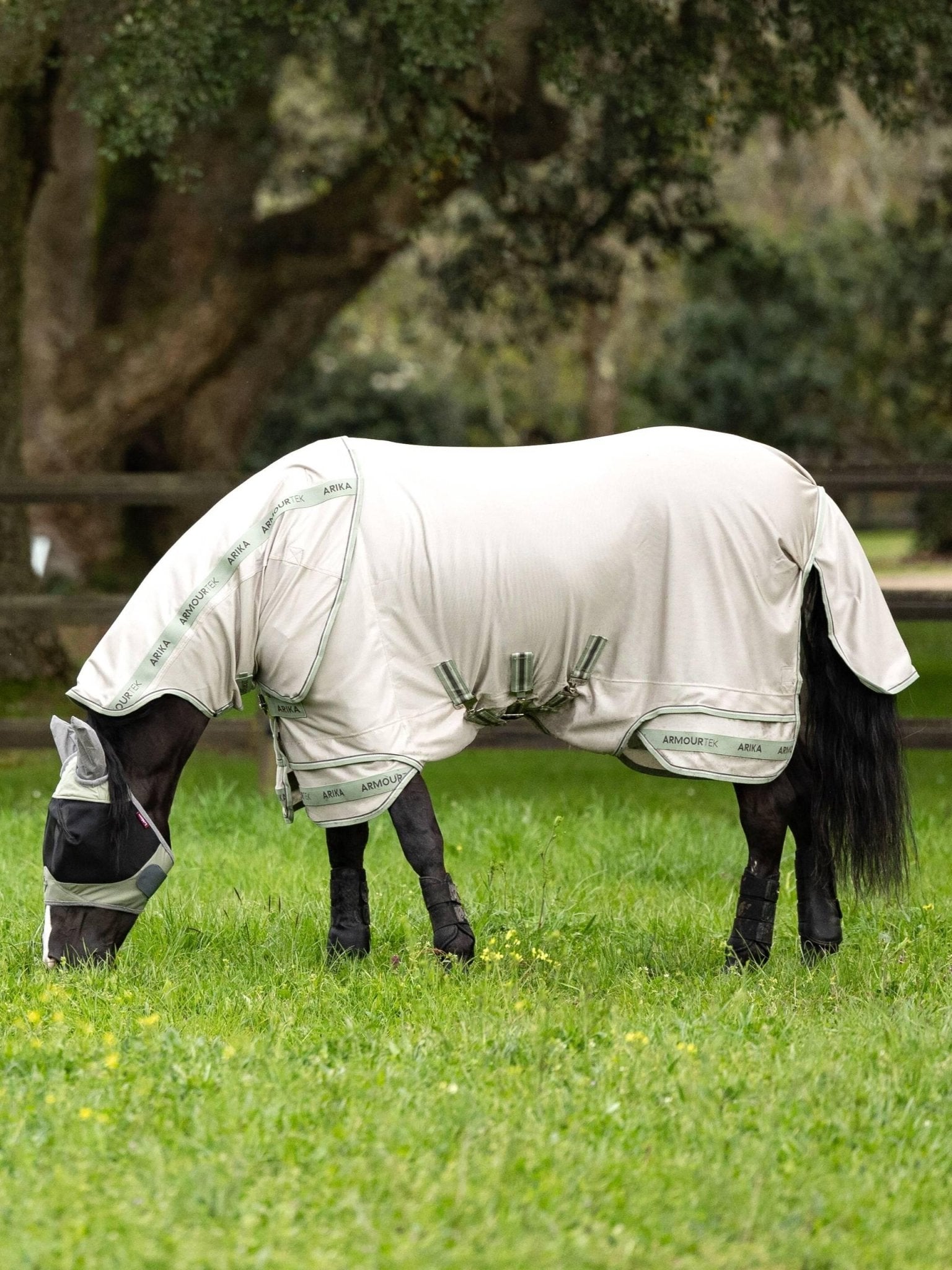 LeMieux Arika Armour - Tek Fly Rug - Nags Essentials