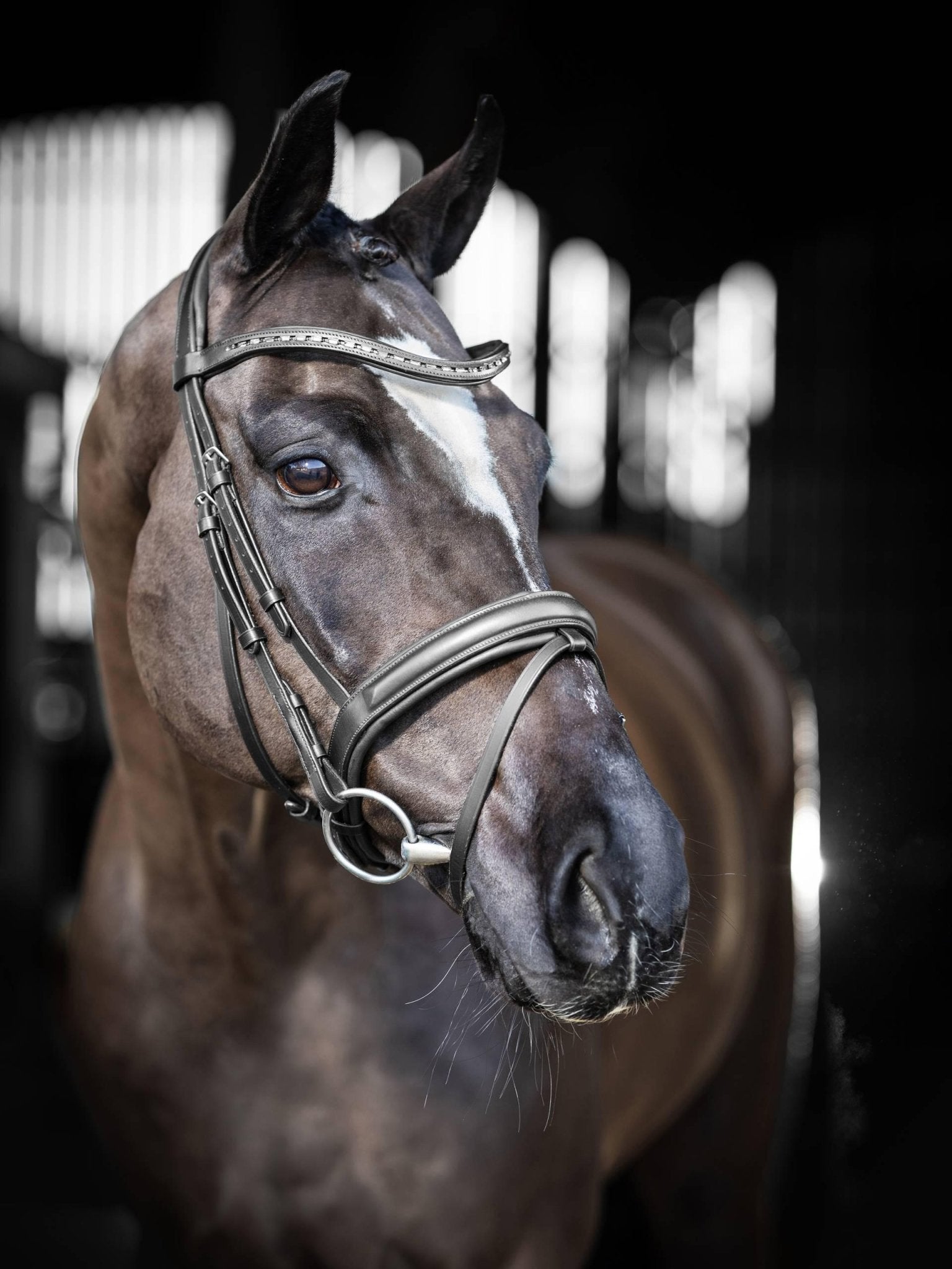 LeMieux Arika Dressage Bridle - Nags Essentials