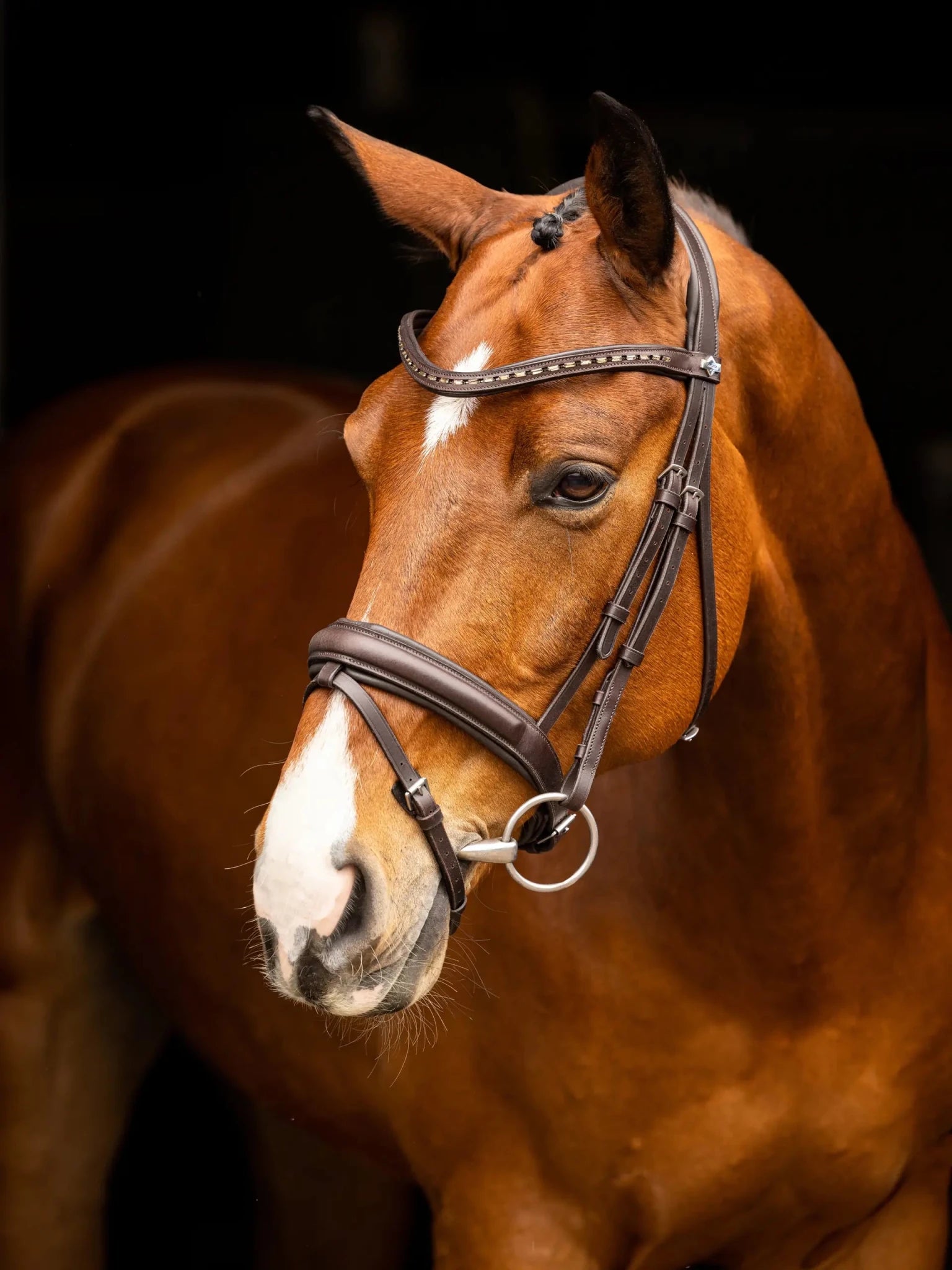 LeMieux Arika Dressage Bridle - Nags Essentials