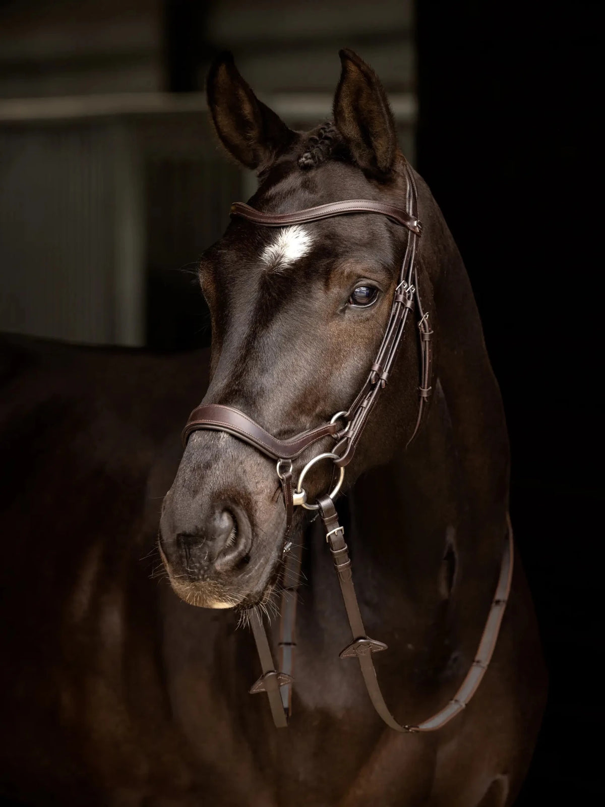 LeMieux Arika Drop Bridle - Nags Essentials