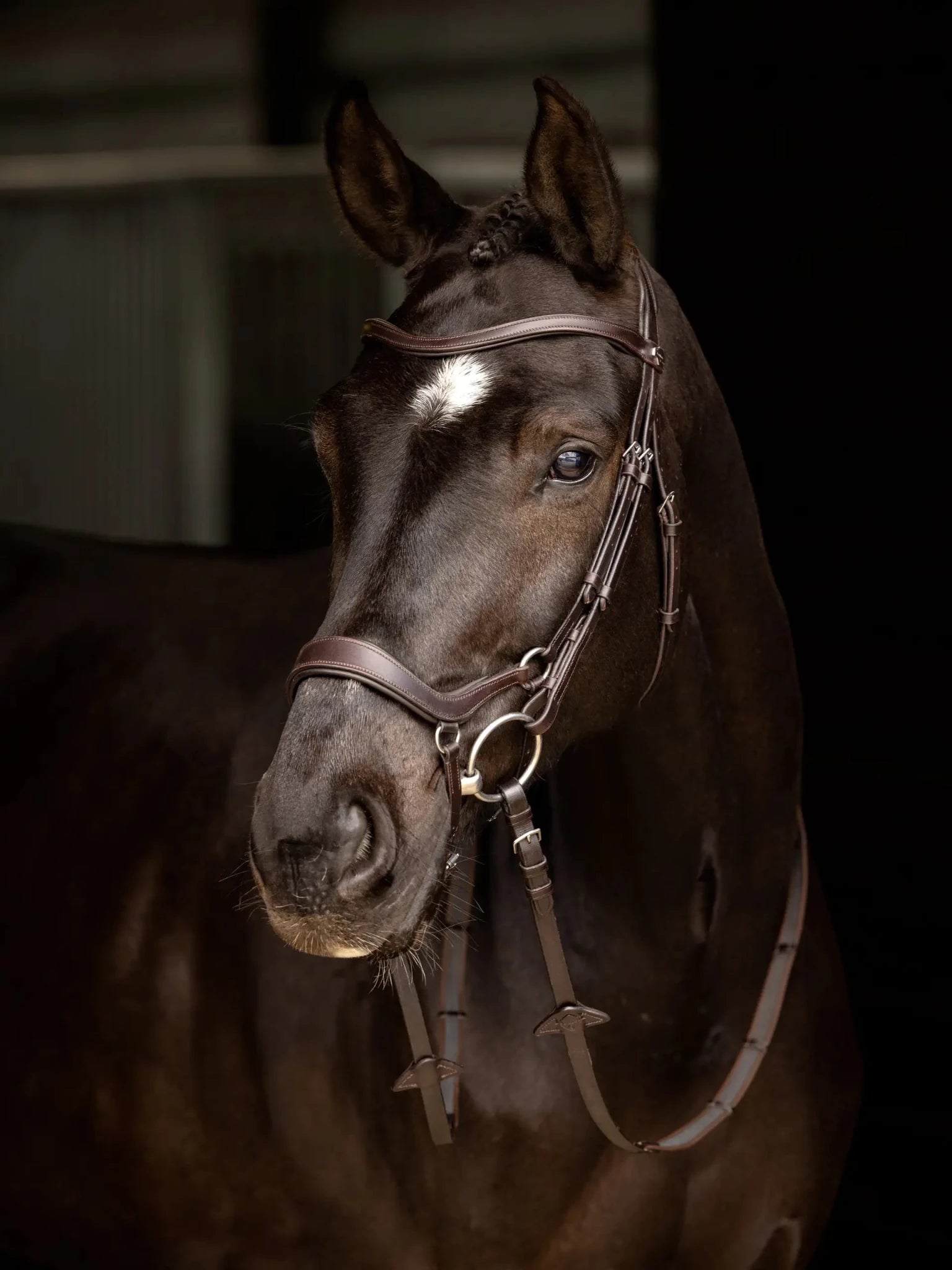 LeMieux Arika Drop Bridle - Nags Essentials