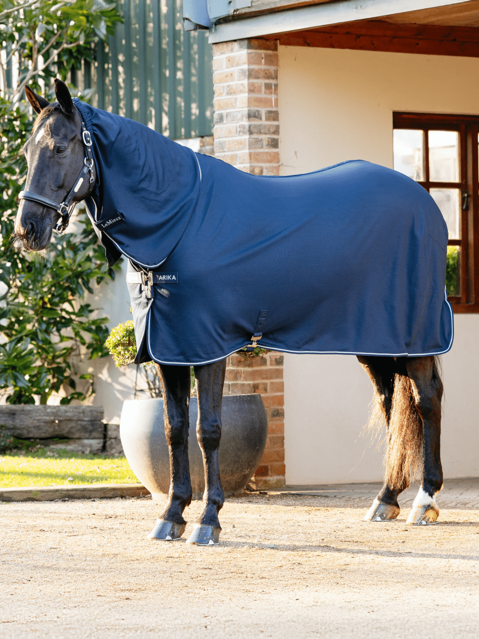 Lemieux Arika DryEase Rug - Navy - Nags Essentials