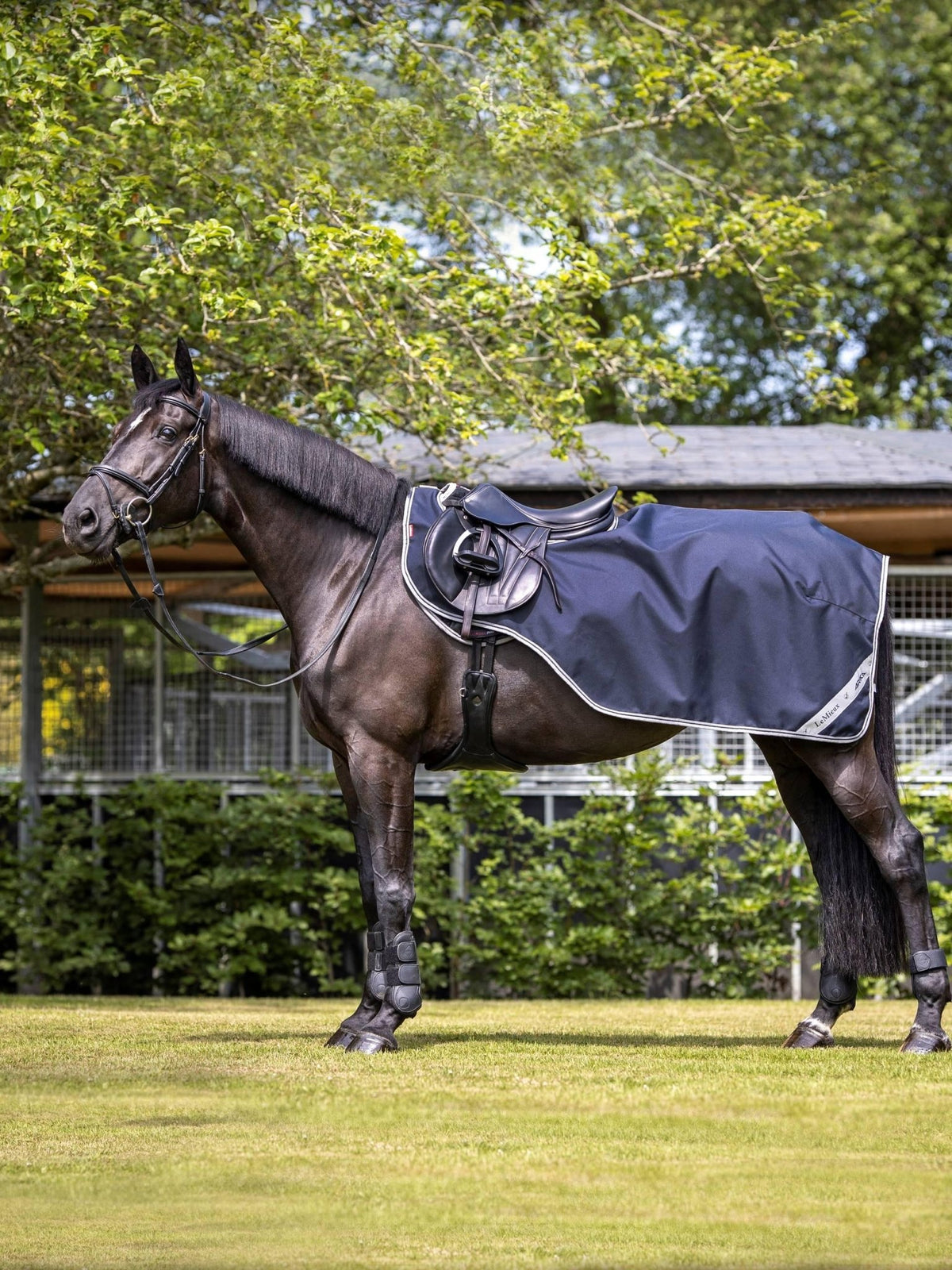 LeMieux Arika Exercise Sheet - Nags Essentials