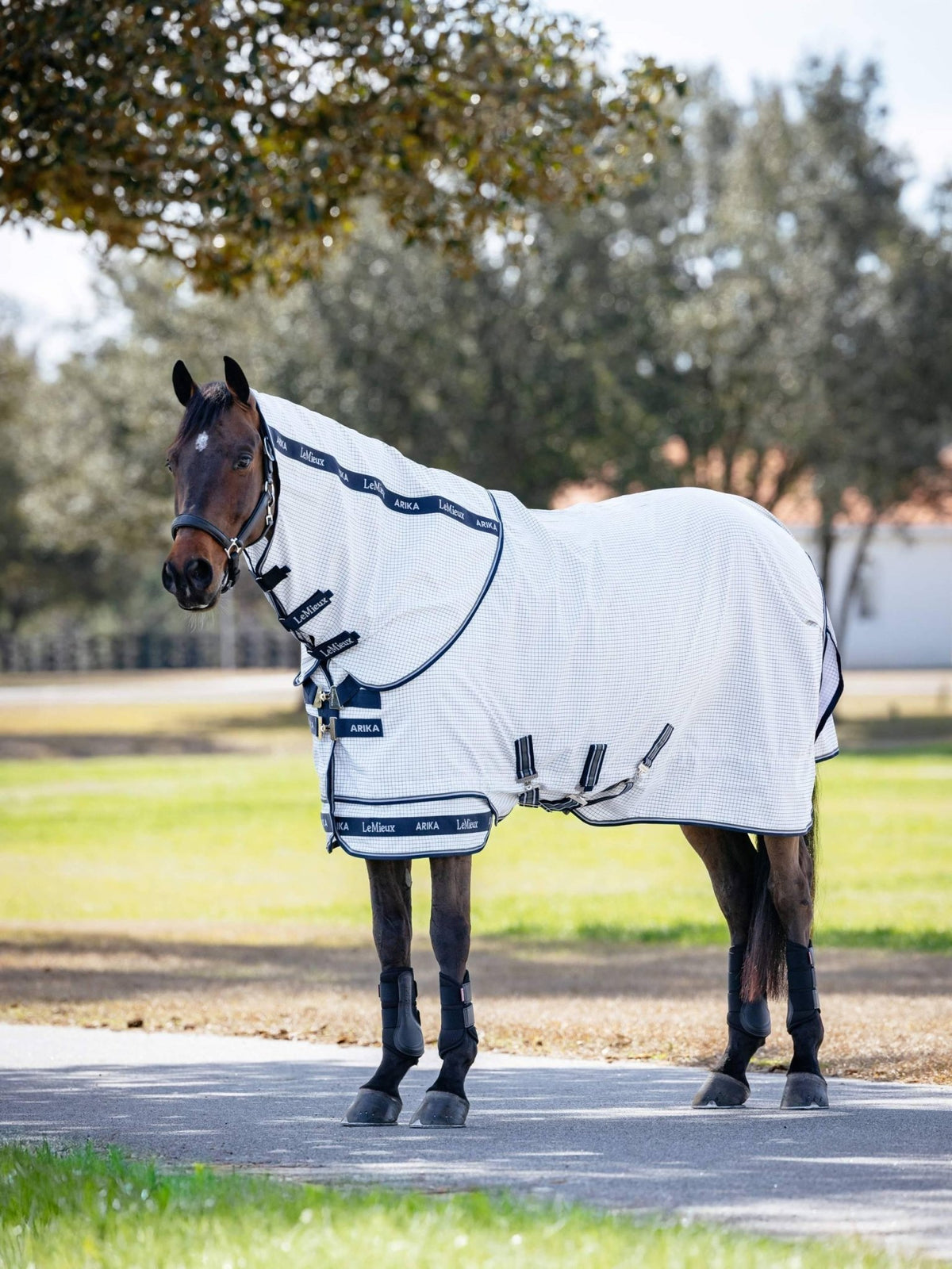 LeMieux Arika Field Rug - White - Nags Essentials