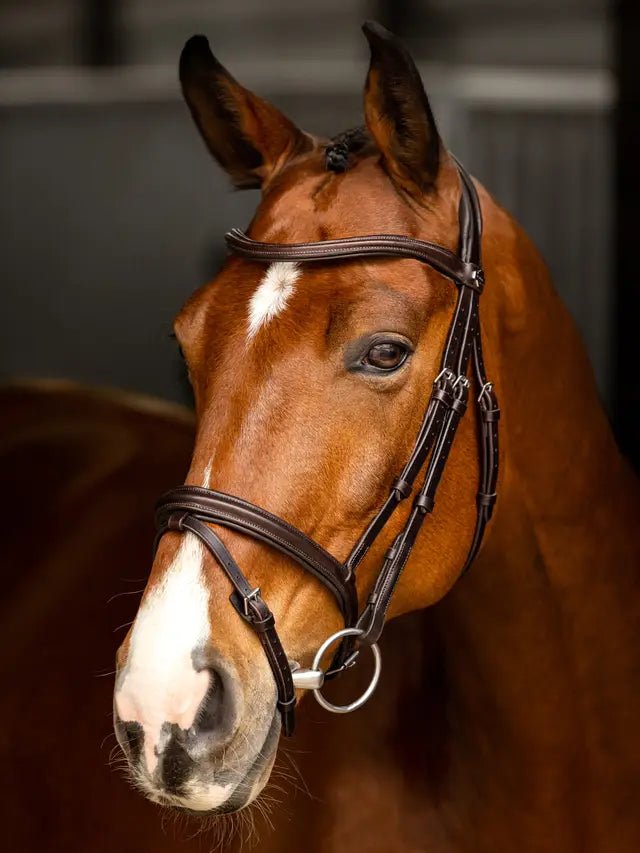 LeMieux Arika Flash Bridle - Nags Essentials