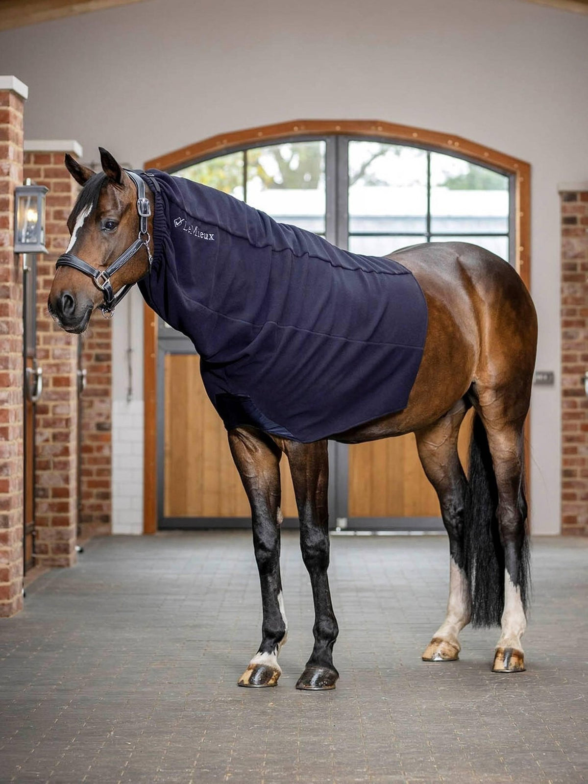 LeMieux Arika Fleece Hood - Navy - Nags Essentials